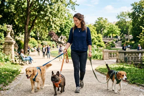 Pet-sitter en Moselle gardant un chien à domicile avec laisse